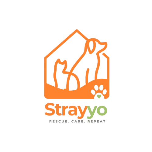 Strayyo logo